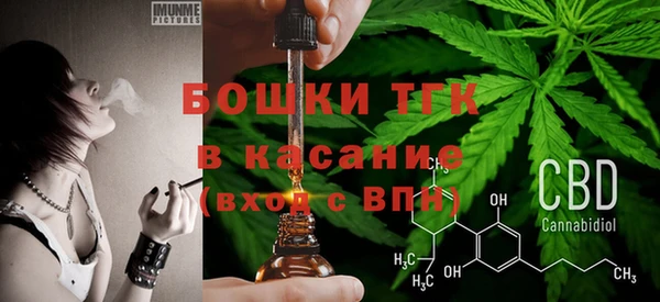 спиды Горняк